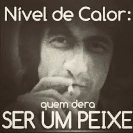 NÍVEL DE CALOR 🔥 8