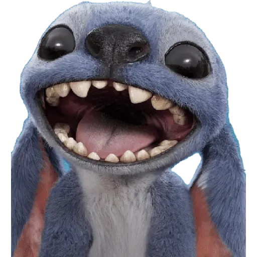 Stitch 💙 5
