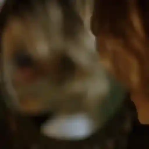 chucky childs play 4