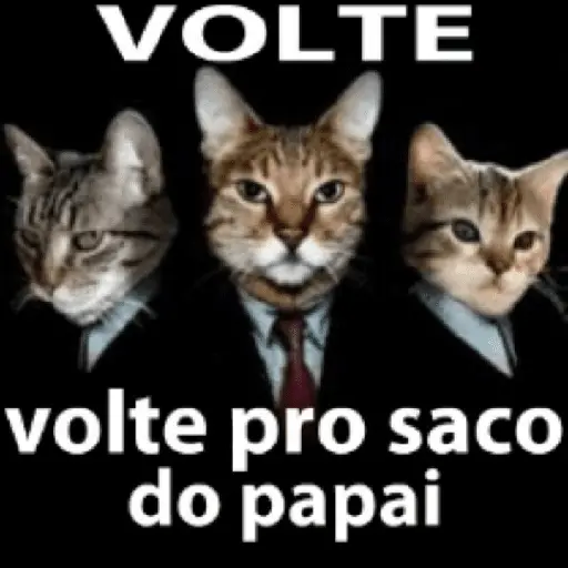 Memes. | @ocenferios Haki. 2
