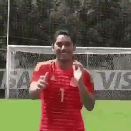Toluca ⚽👑 11