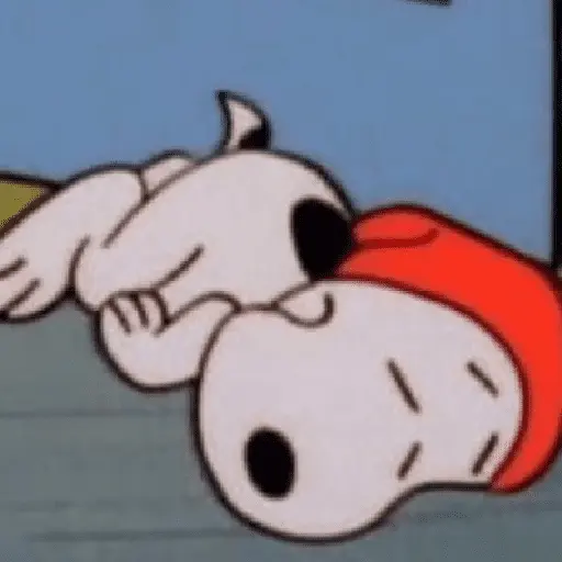 Snoopy Show 5(Cansadito)🐶🤍✨ 5