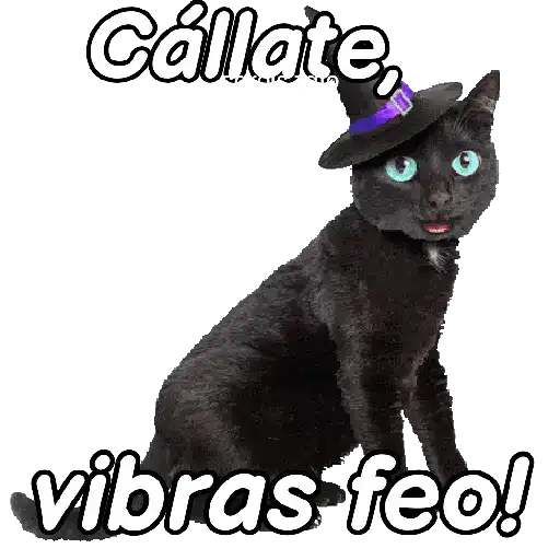 Animales Random pa contestar 💬 15