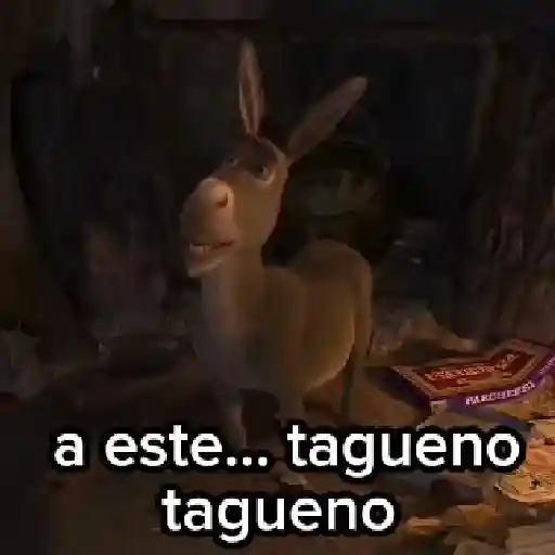 Burro 🫏 (Shrek) 14
