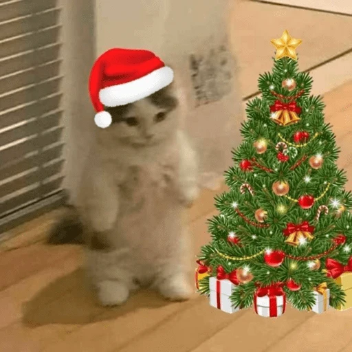 Feliz Navidad