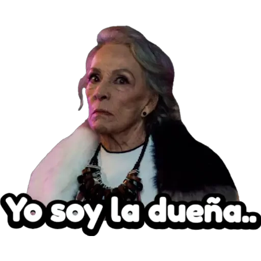 La Casa De Las Flores - T3 #2
