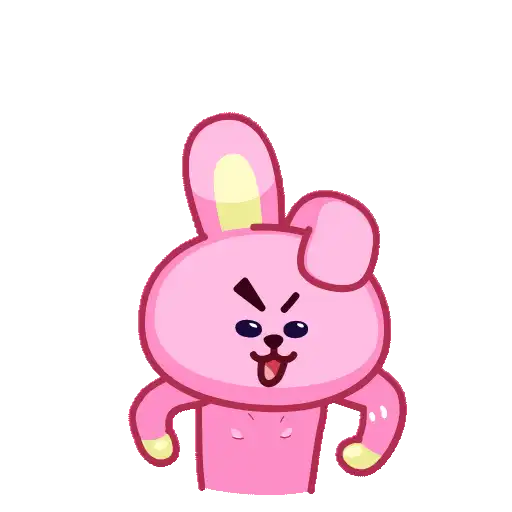 BT21 13