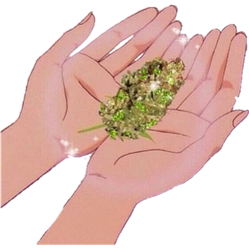 4/20 27