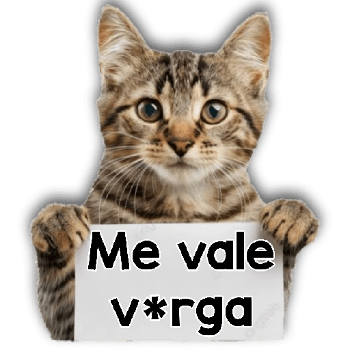 Michi mensajes gatito 🐱📩 18