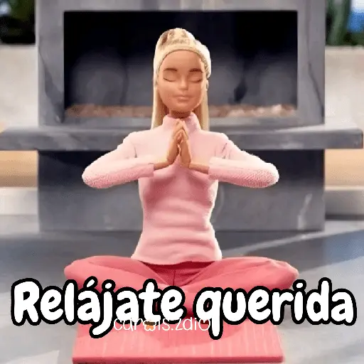 Barbie para contestar 👗🎀💅 8