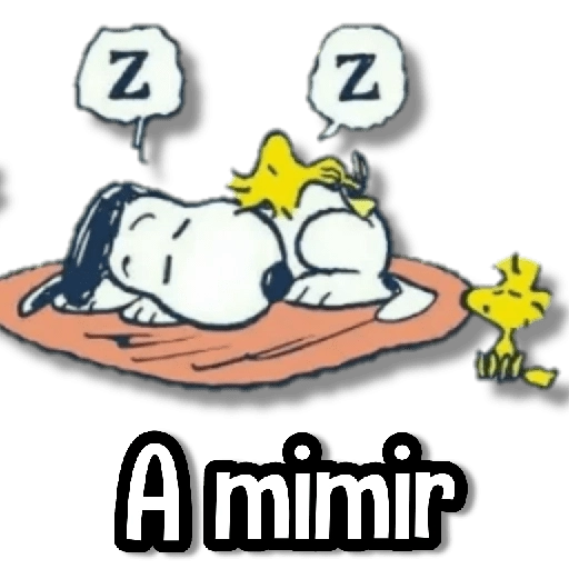 Snoopy Frases🩷💙 11