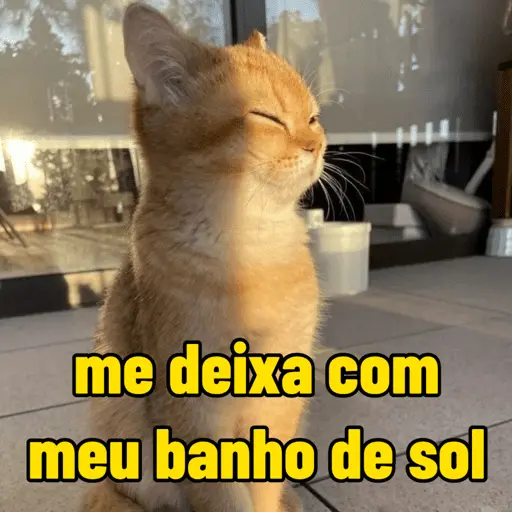 calor do djabo 🥵🌞 6