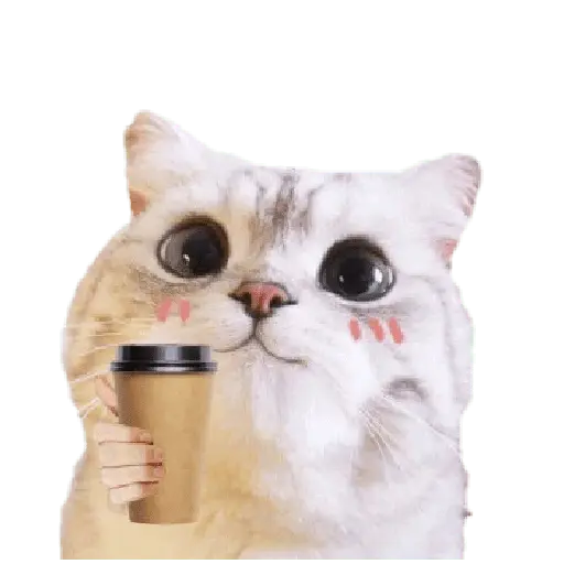 Michis random🐈🐈⬛ 14
