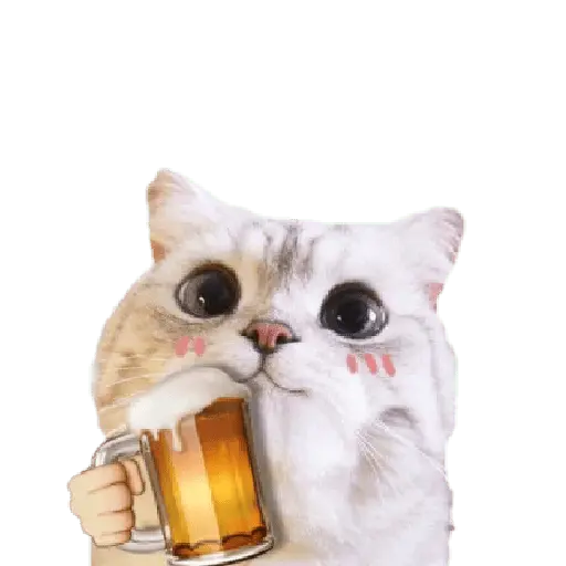 Michis random🐈🐈⬛ 19