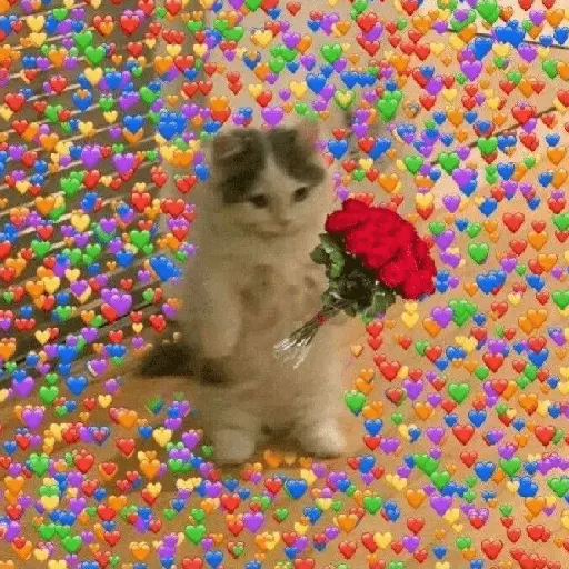 Me enamoré con corazoncitos💕✨ 4