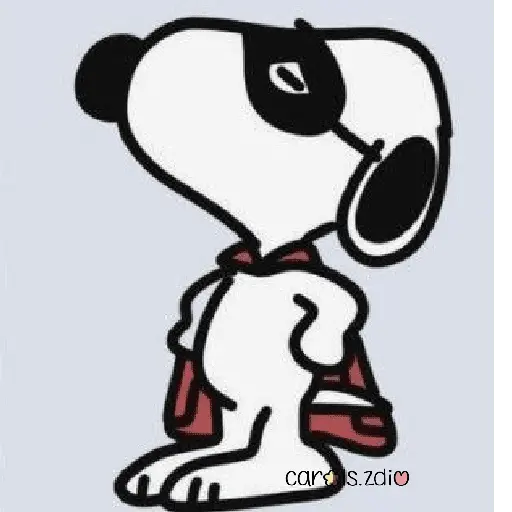 🦴 Snoopy y sus amigos 🏠❤️ 8