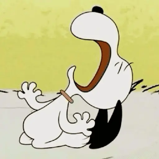 Memes do Snoopy 5