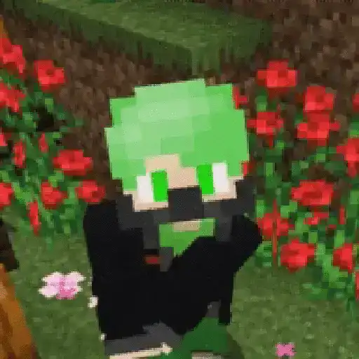El mundo de Minecraft 🏡⚒️ 3