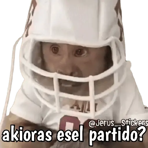Monos y frases 💬🙊 13