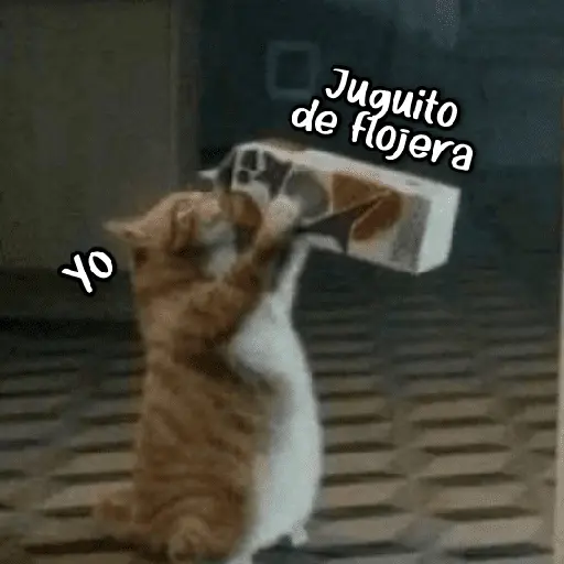 Yo Juguito de flojera