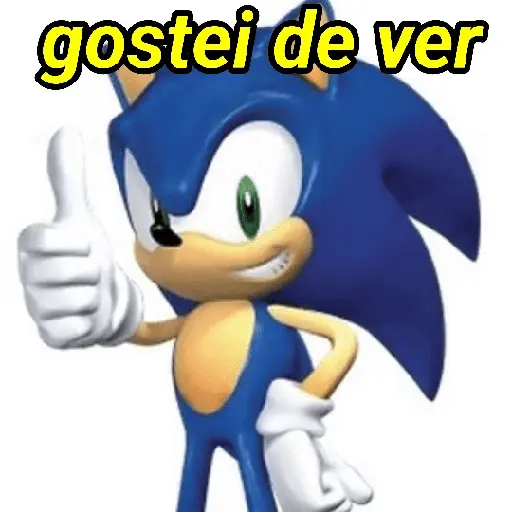 Sonic da zoeira🤪 11