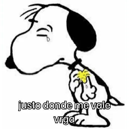 🐶 SnOoPy 🌲 8
