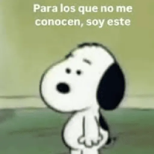 🐶 SnOoPy 🌲 5