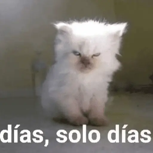 Más REACCIONES #6 🤖 19