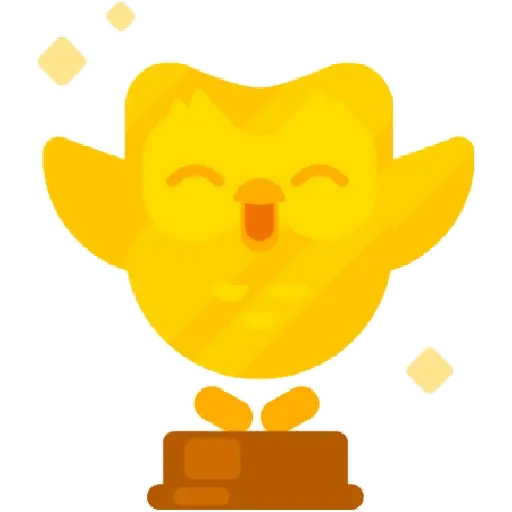 Duolingo 13