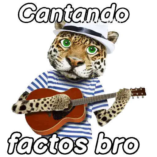 Animales Random pa contestar 💬 6