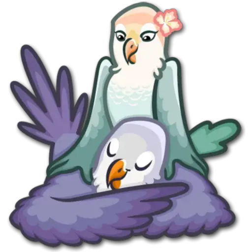 🐦Pajaros Lindos🐦  21