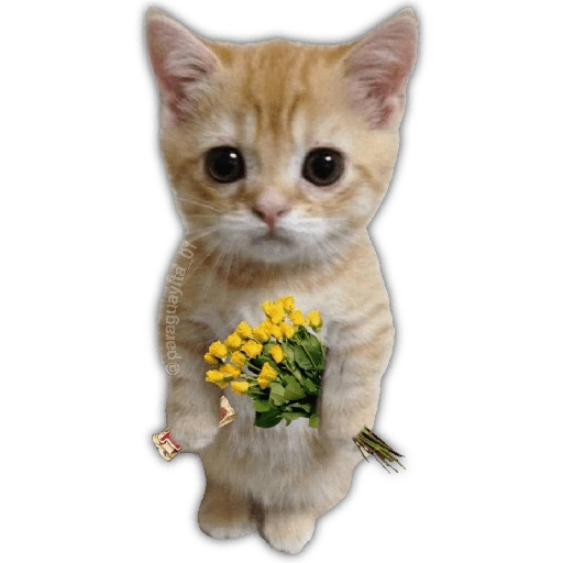 🌻💐 Жуто цвеће 3 💐🌻  18