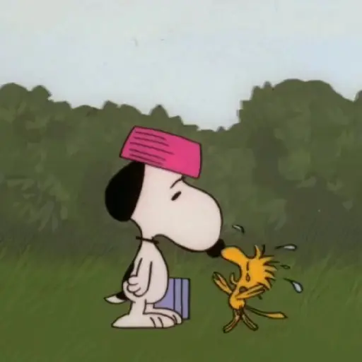 ﹒🐶˙﹟Snoopy﹗© ivanbu 5