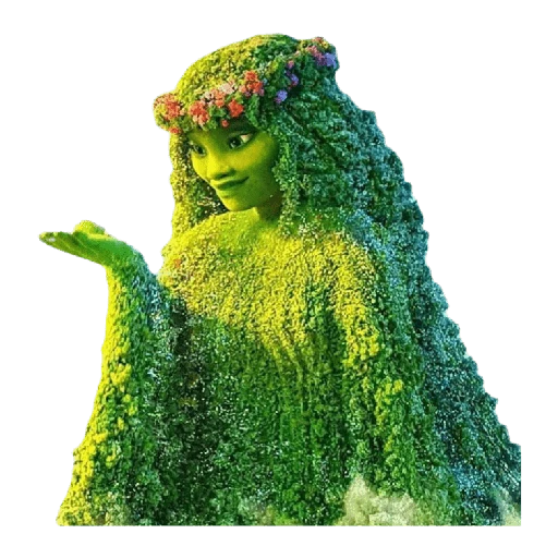moana 5