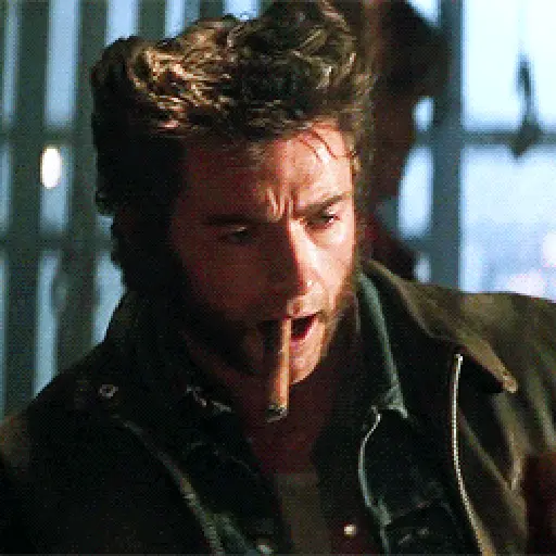 Wolverine🔝Logan 6