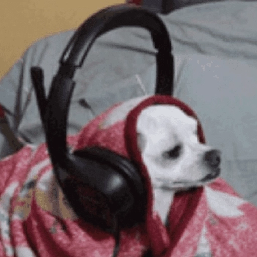 Perritos que tienen frío❄️✨ 9