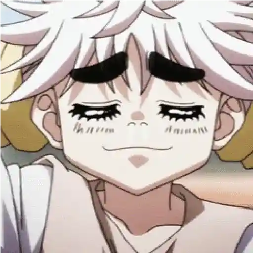 hunter x hunter 11