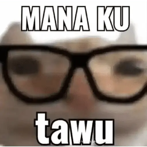 meme kucing 3