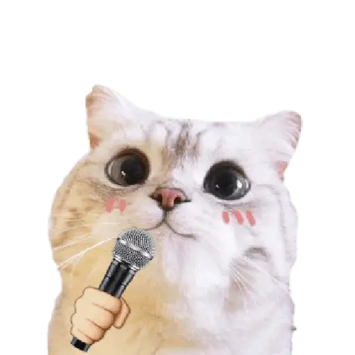 Michis random🐈🐈⬛ 3