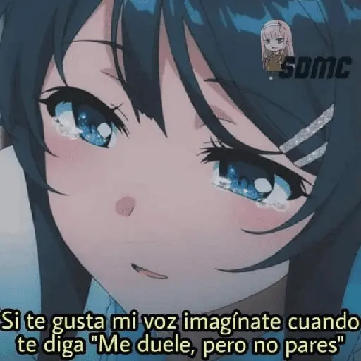 SOMC Si te gusta mi voz imaginate cuando te diga "Me duele, pero no pares"