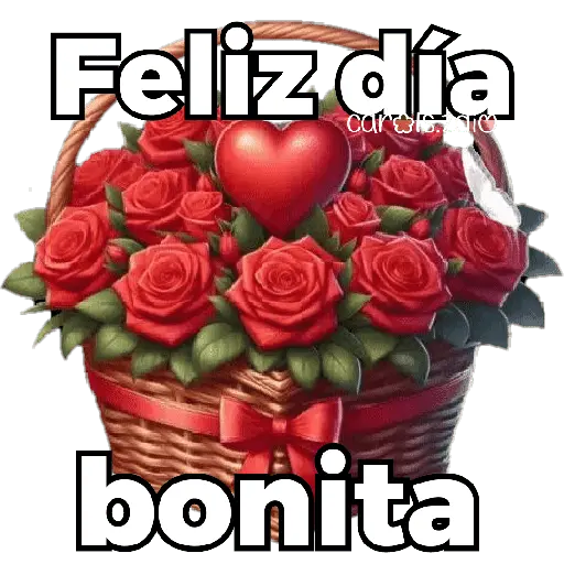 Día de la mujer ♀️👩🏻🎀 5