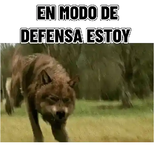 En modo de defensa estoy 🛡️