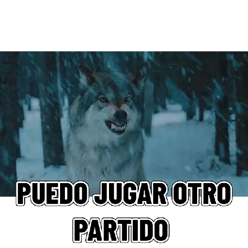 En modo de defensa estoy 🛡️ 3