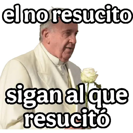 papa Francisco 😎 28