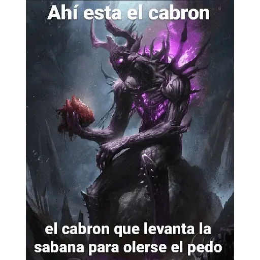 soy admin 20