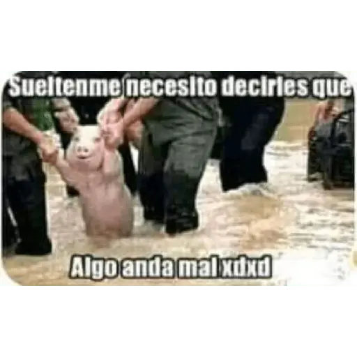 Ya no soy admin 16
