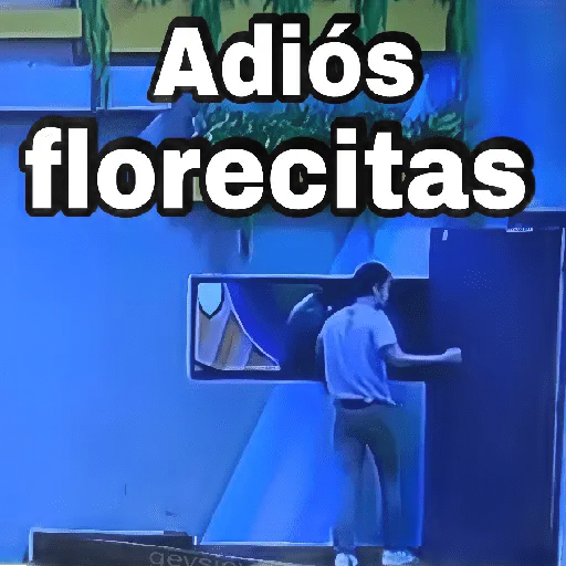 Adrian Marcelo 💢 Lcdlfmx 🙎♂️ 4