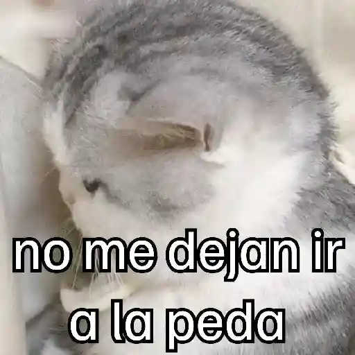 Pa la peda 😎 11