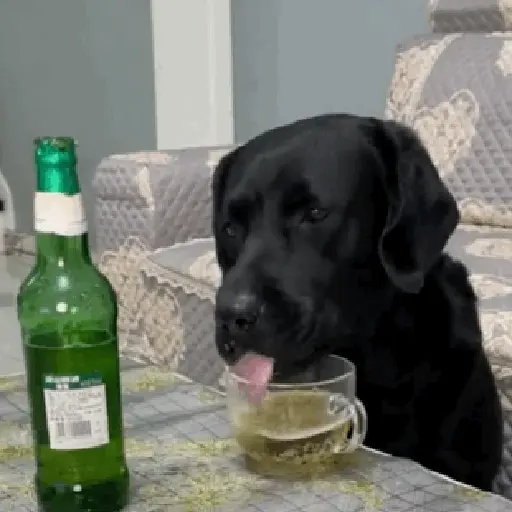 Pa la peda 😎 2