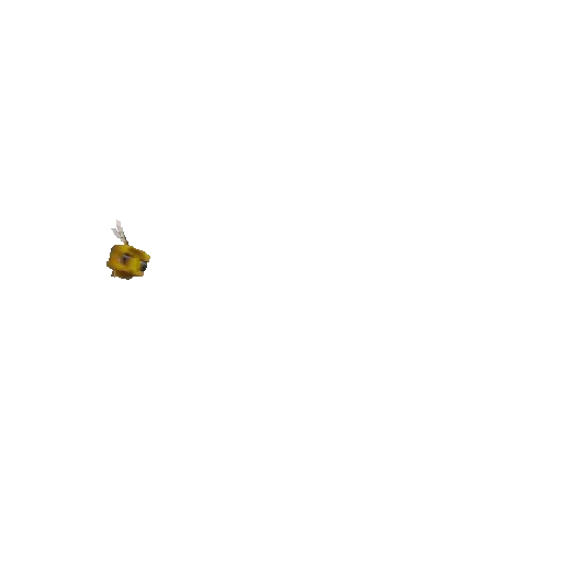 Minecraft 🤖 14